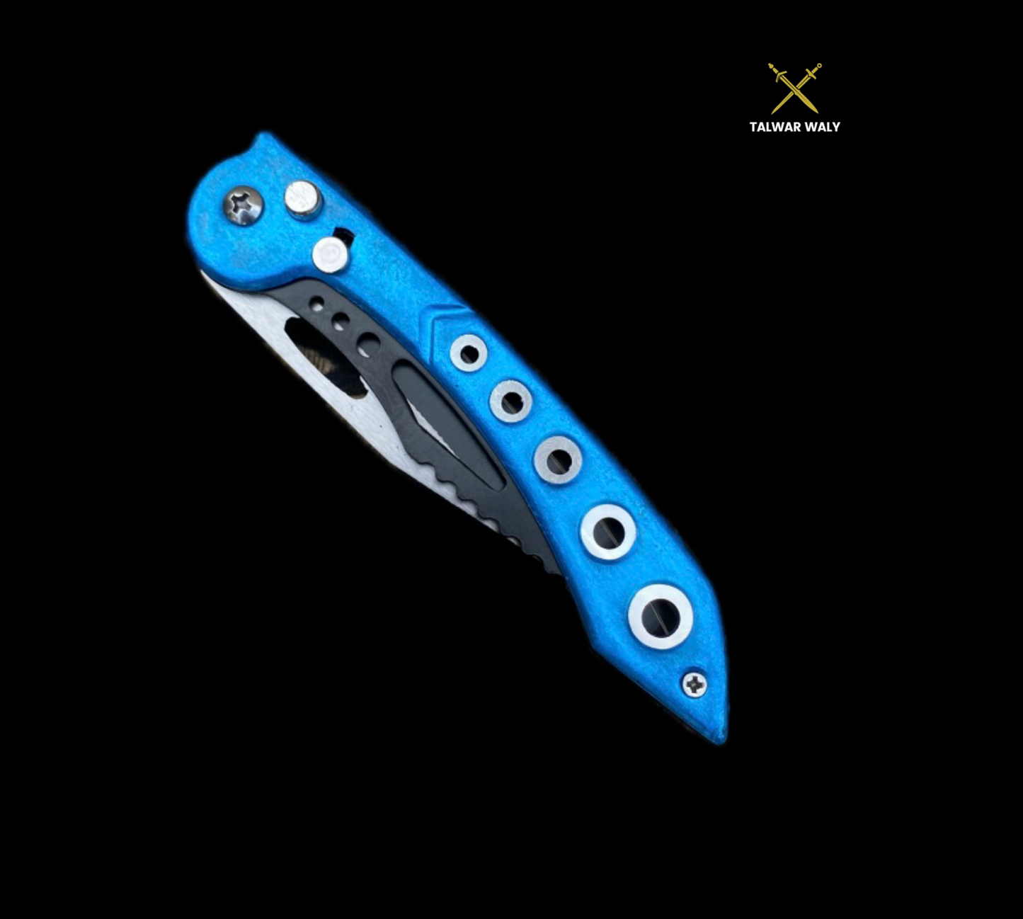 Stainless Steel Folding Knive